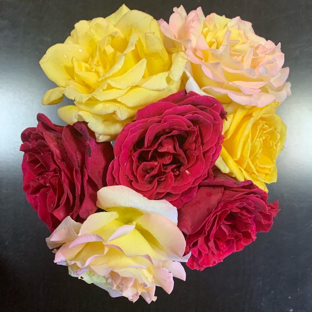 Meet your Posher, Nicole